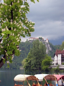 Bled Castle from Mlino