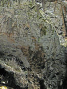 Inside Postojna Cave (1)