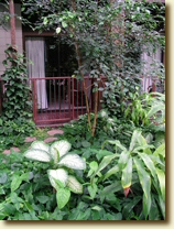 Our door into the tropical garden -- click to enlarge