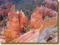 Formations in Bryce Canyon Amphitheater by early morning light -- click to enlarge