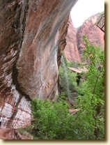 Overhanging cliff at Lower Emerald Pool -- click to enlarge