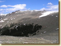 Sheltered grove above the timberline -- click to enlarge
